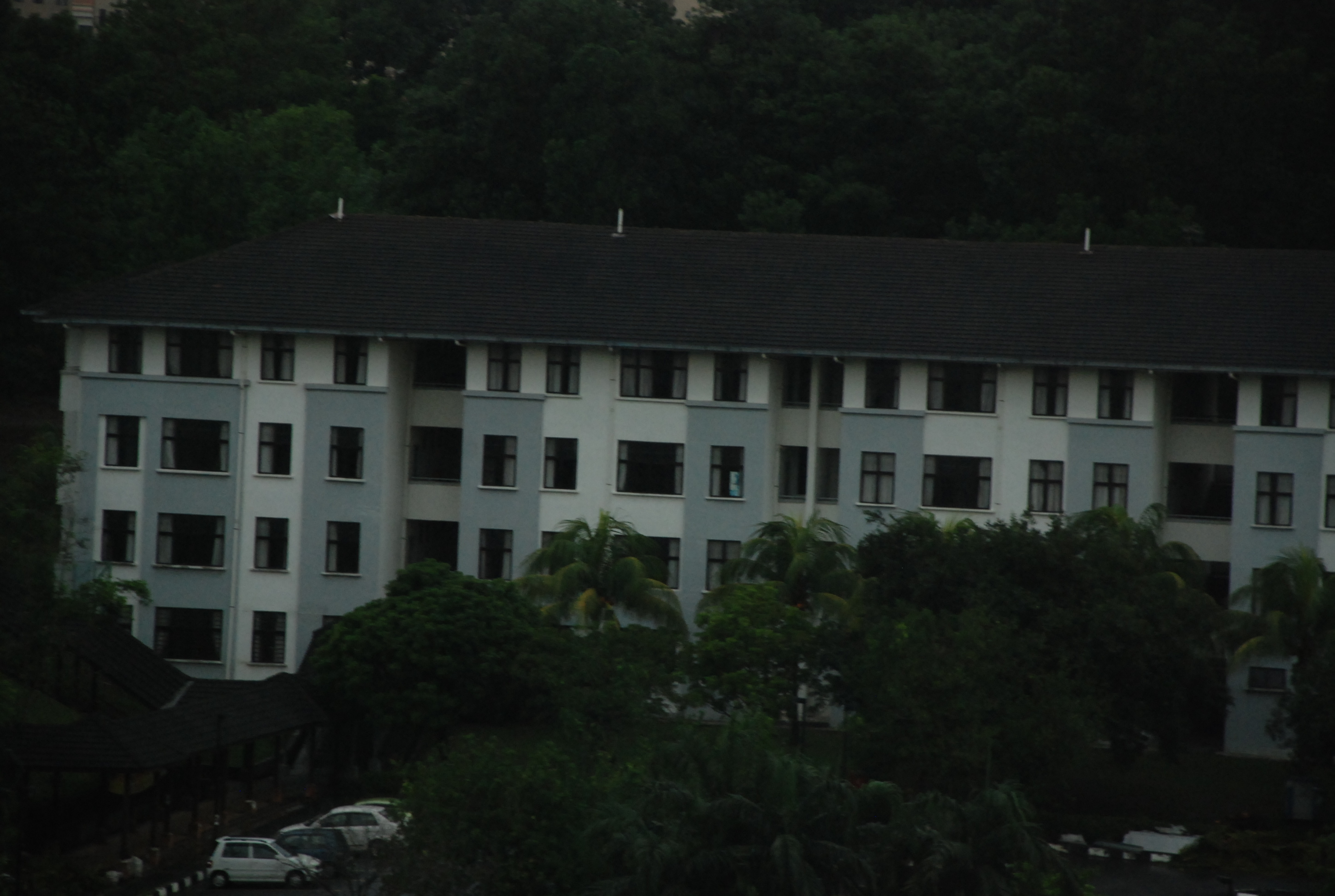 DSC 4723